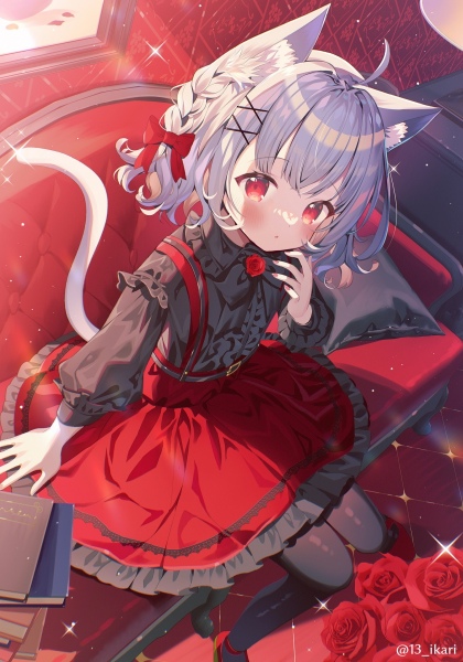 白猫