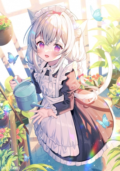 朝の水やり